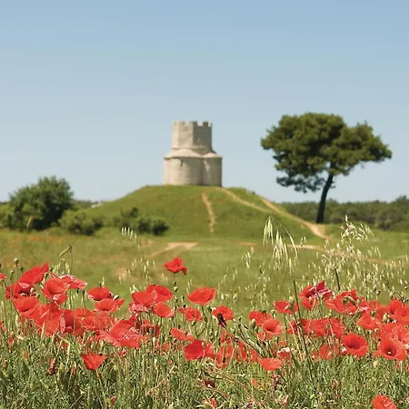 Beautiful In With Wi-fi Апартаменты