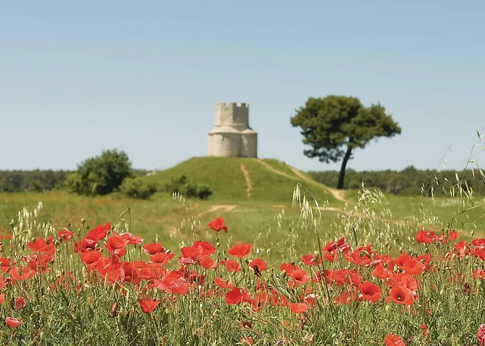 Beautiful In With Wi-fi Апартаменты